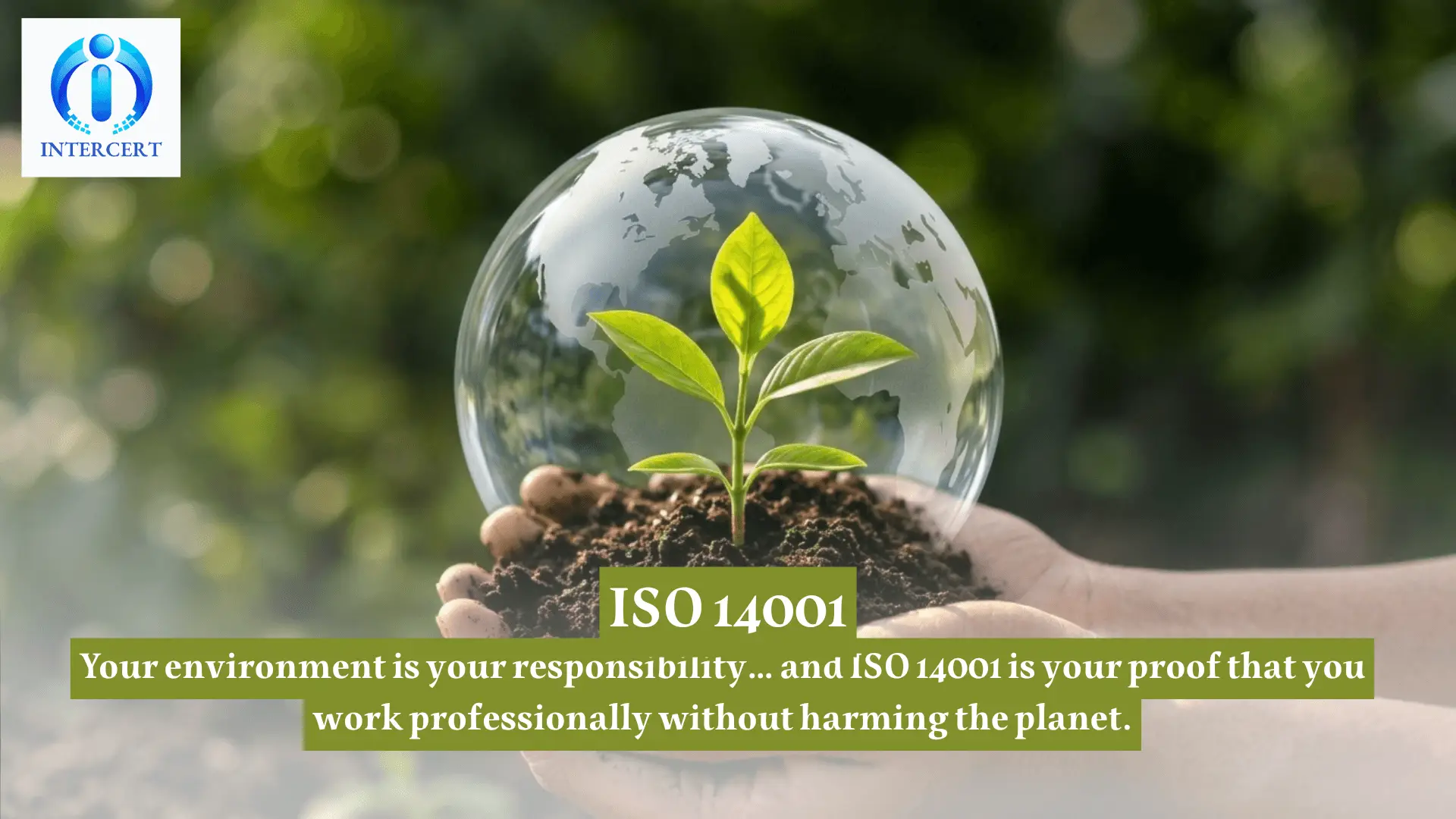 ISO 14001 in Egypt | Sustainability as Competitive Strength