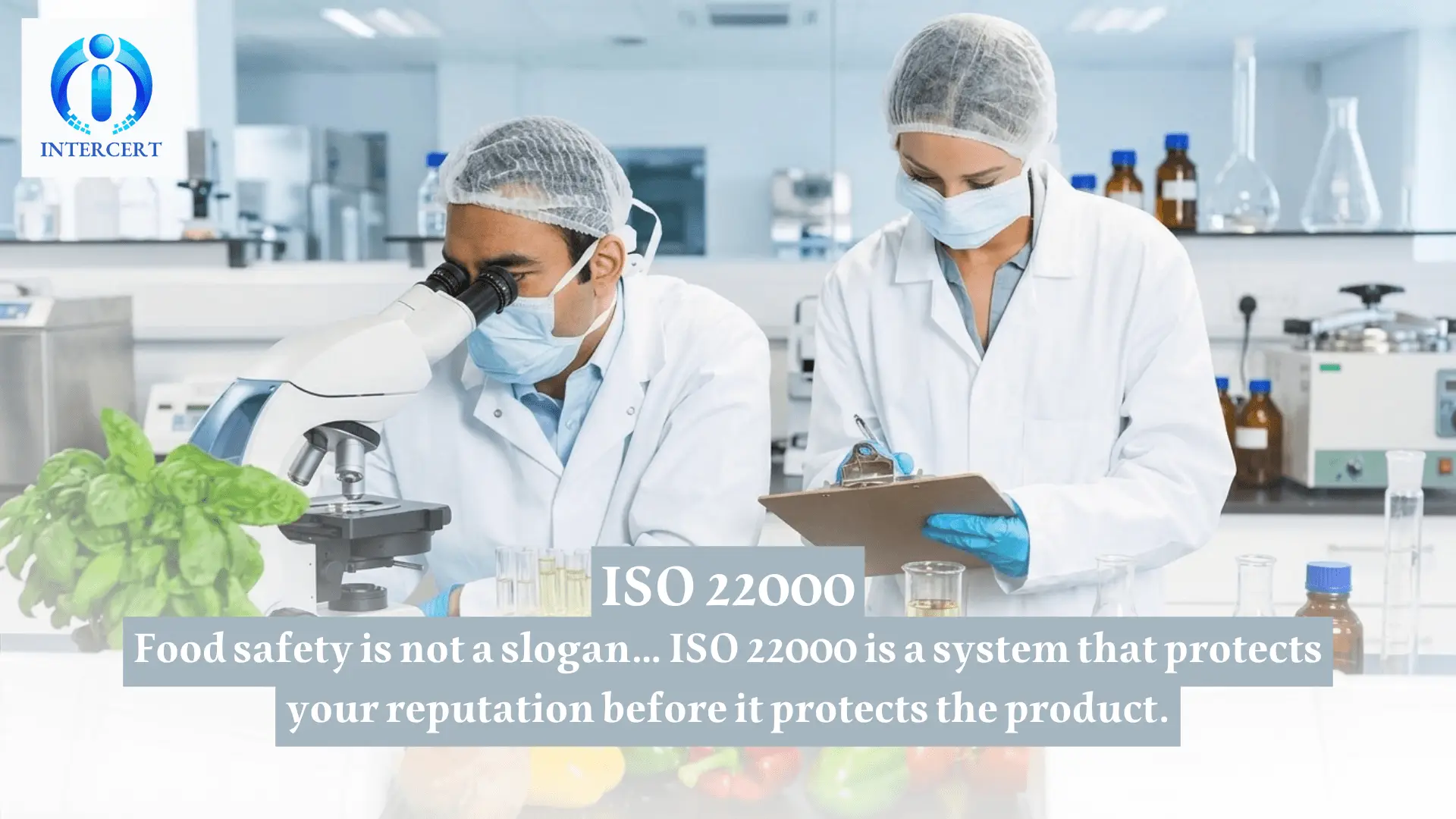 ISO 22000 in Egypt | Food Safety for Competitive & Export Advantage
