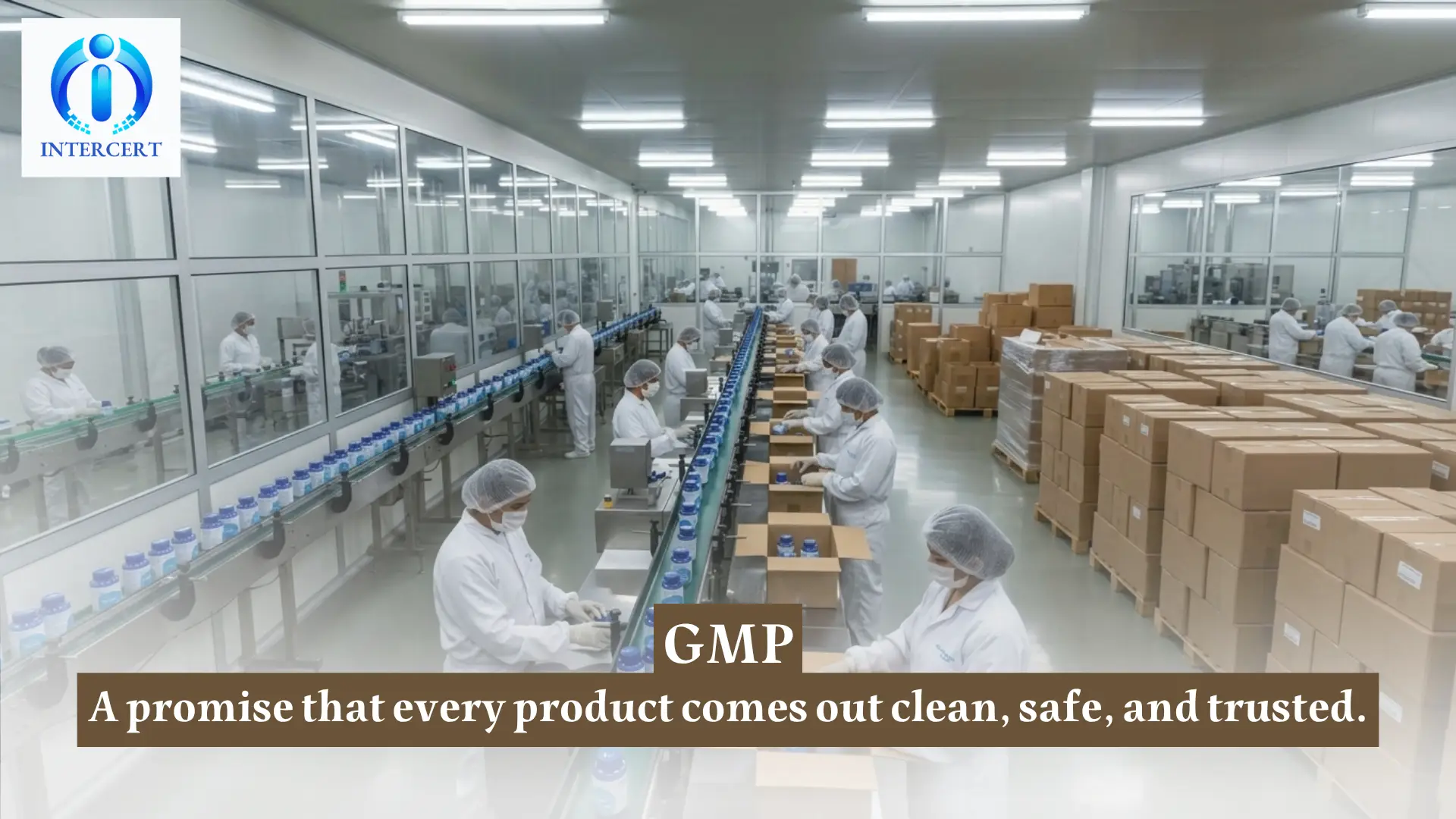 GMP Certification Egypt | Cut Waste 30% & Boost Efficiency