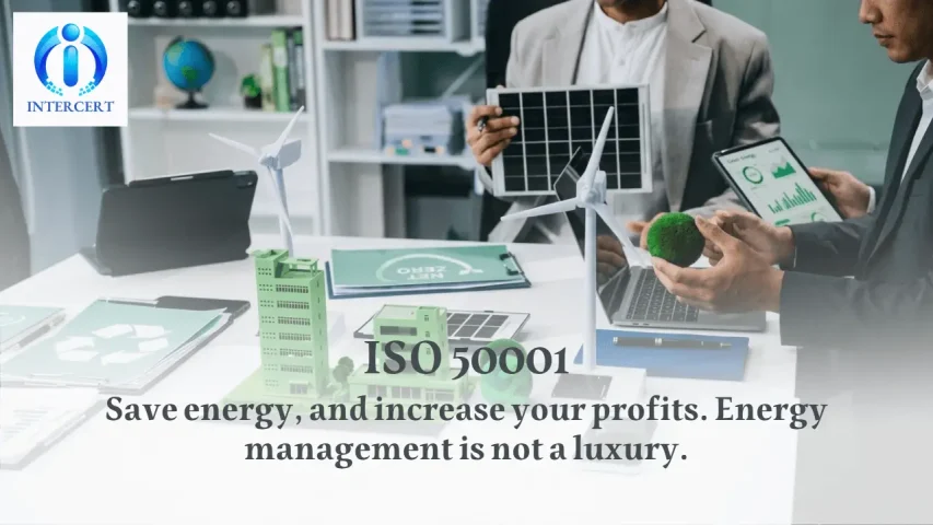 ISO 50001 in Egypt | Reduce Energy Bills by Up to 30%