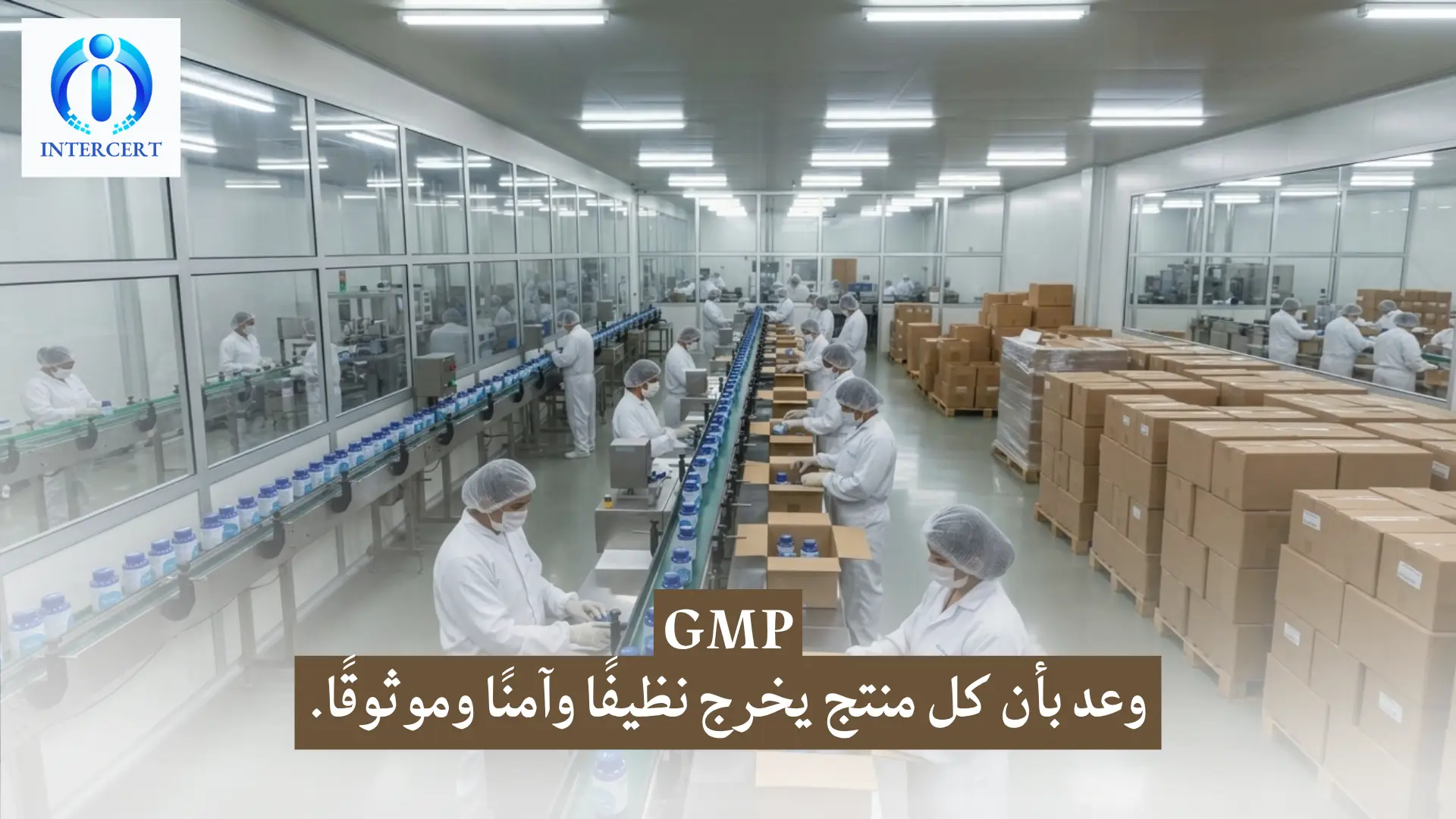 شهادة GMP في مصر | خفض الهدر 30% ورفع الكفاءة
