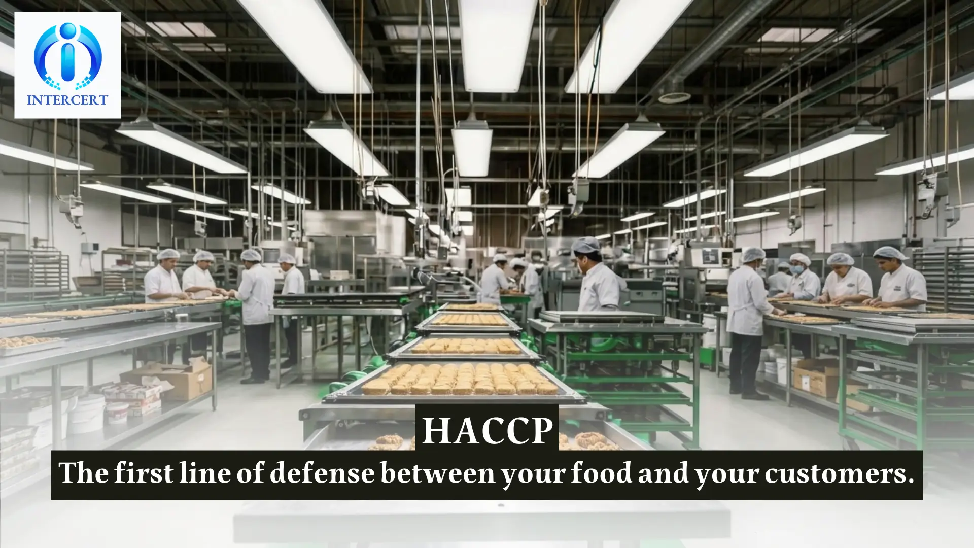 HACCP Certification in Egypt | Protect Your Brand & Export