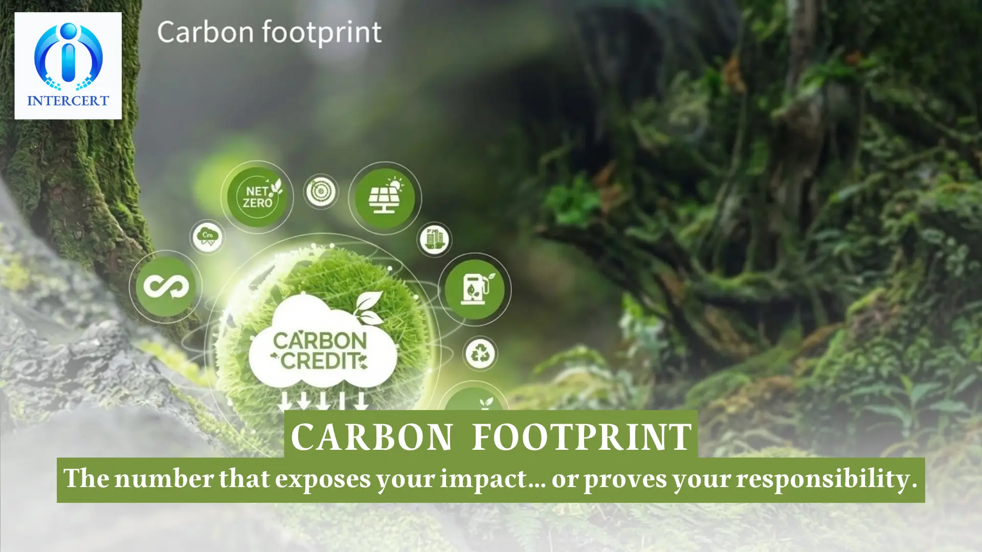 Carbon Footprint in Egypt | Cut Costs & Boost Exports